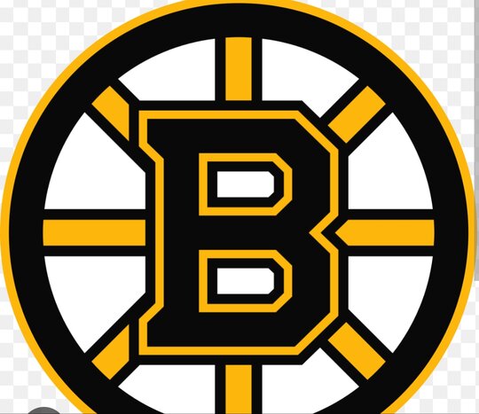 Boston Bruins Players Salary